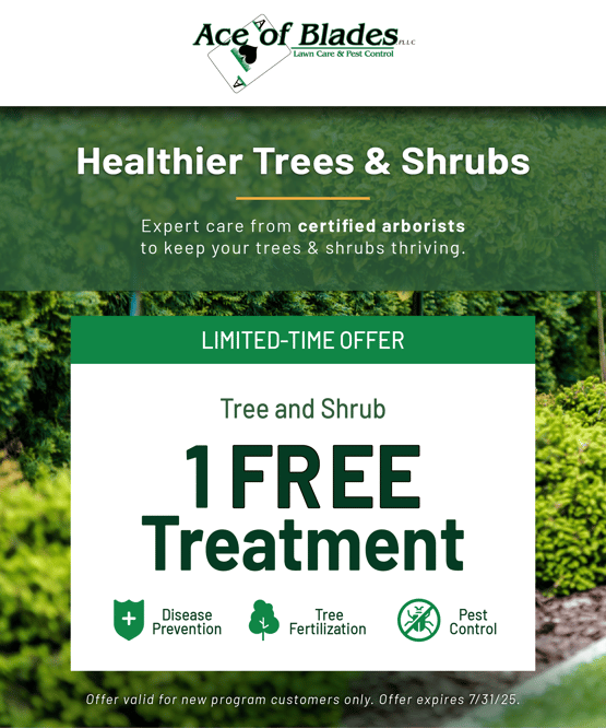 AOB__Shrub_Ad_480x576-13