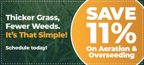 AOS_Offer_Coupon_v1-550x250