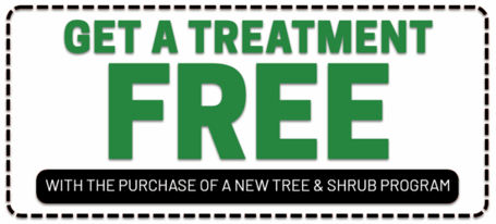 BOG_Tree_Promo_2025-550x250