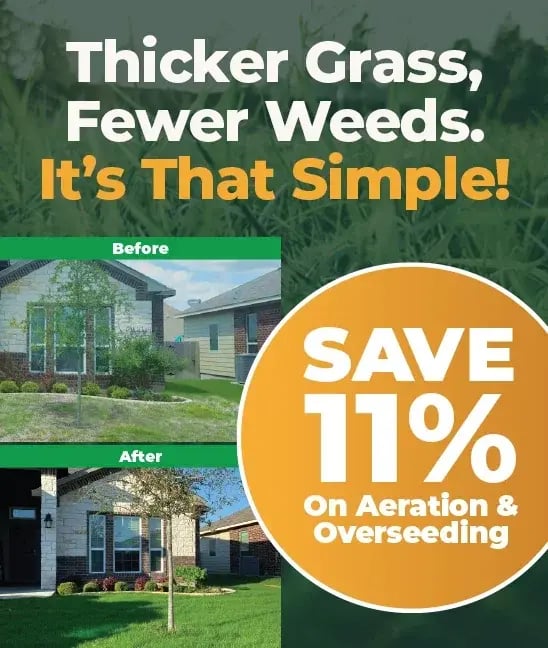 AOS_LP_Expand_Offer_v2 (3)