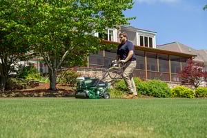 ace of blades lawn care and pest control in rogers ar