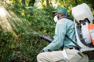 ace of blades lawn tech servicing yard for pest control