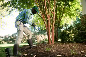 lawn care and pest control in centerton ar