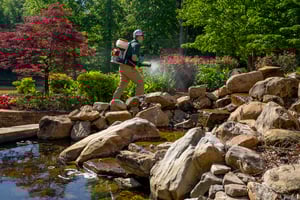 lawn care and pest control in fayetteville ar