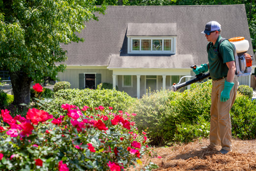 pest tech from ace of blades spraying tree and shrub for pest control