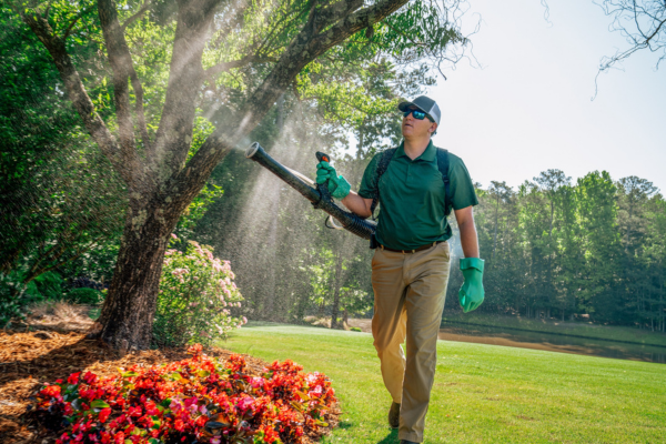 Mosquito Control Treatments